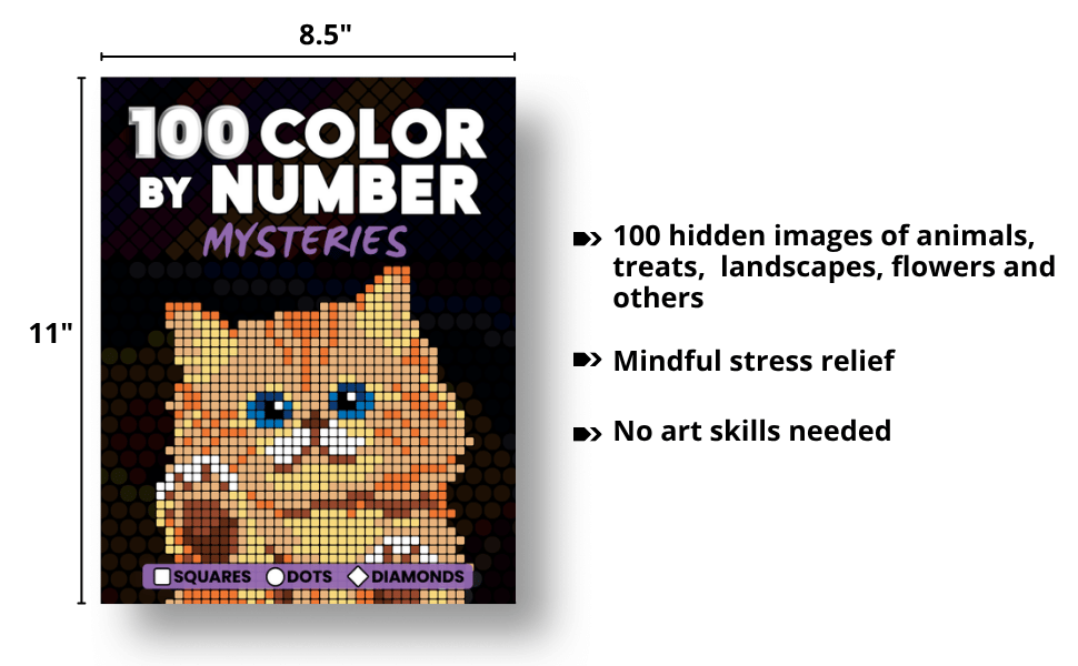 100 mysteries details